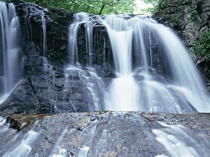 大阪市中央区に位置する東横INN淀屋橋駅南の魅力と概要：快適なビジネス・観光拠点としての詳細ガイド