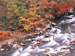 東横INN埼玉三郷駅前｜駅近・快適なビジネスホテルの魅力と詳細情報