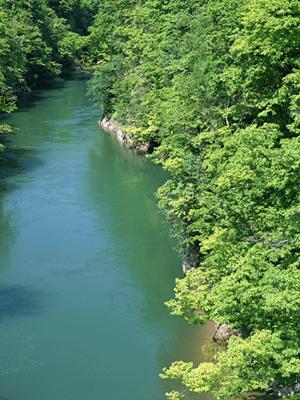 大阪府や奈良県で宿泊施設を探すならば