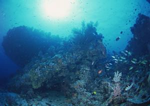 静岡市中心部の宿泊施設：ガーデンホテル静岡の魅力と詳細情報