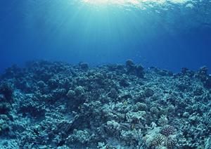 中部国際空港近くのビジネスホテル：東横INN中部国際空港2の詳細と魅力