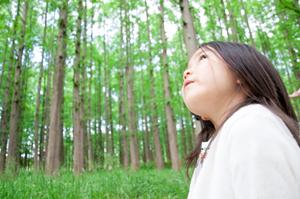 長野県松本駅近くのビジネスホテル【東横INN松本駅前本町】の魅力と詳細情報