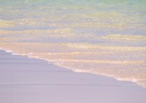 【公式】東横INN日本橋税務署前｜東京中央区のビジネス＆観光に便利な格安ホテル