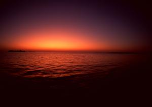 【公式情報を徹底解剖】東横INN羽田空港1の魅力と利便性｜快適なビジネス・観光拠点