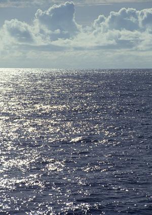 広島駅から徒歩4分！東横INN広島駅新幹線口1の宿泊特長と便利な施設情報