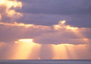 大阪の世界的観光スポット「通天閣」至近のビジネスホテル | 東横INN大阪通天閣前の魅力と詳細情報