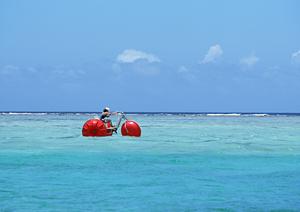 京都二条城前エリアに泊まるなら東横INN京都二条城南 ? 快適な滞在を実現するビジネスホテルの魅力と詳細情報