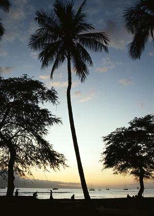 静岡駅から徒歩5分の快適アクセスを実現！東横INN静岡駅南口の魅力徹底紹介