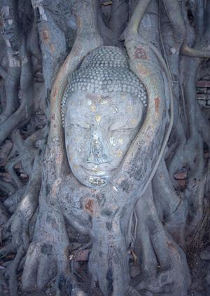 鳥取駅北口から徒歩2分の快適ステイ！東横INN鳥取駅北口の魅力と詳細情報