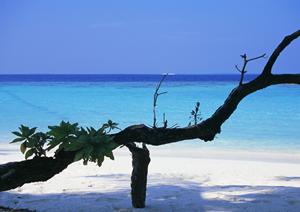 宇都宮駅から徒歩3分！快適な滞在を約束する東横INN宇都宮駅前1の魅力と詳細情報