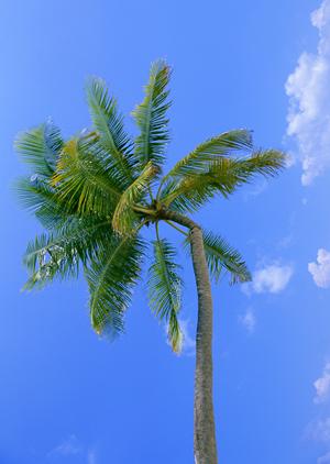 山口市の快適なビジネスホテル｜東横INN新山口駅新幹線口の魅力と詳細情報