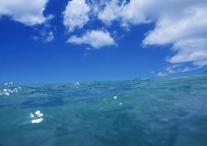 富山駅近くのビジネスホテル【東横INN富山駅新幹線口2】 ? 便利な立地と快適なサービスを提供