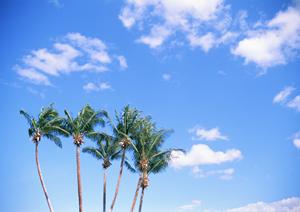 仙台駅徒歩4分！東横INN仙台西口広瀬通の魅力と施設情報徹底解説