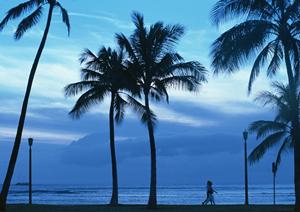 家族で楽しむ石垣島アクティビティ完全ガイド：初心者向けから思い出作りまでのおすすめプラン